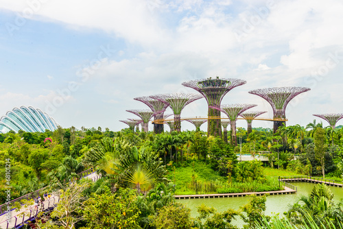 Garden by the bay