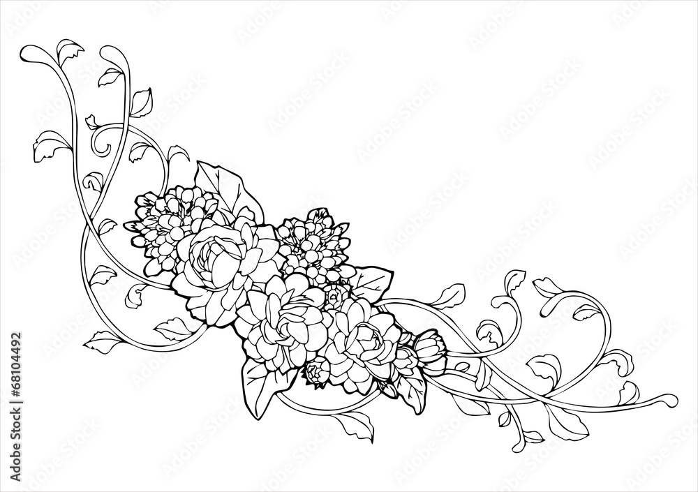 Jasmine flower and vine line drawing vector Stock Vector Adobe Stock