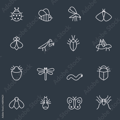 insect icon set