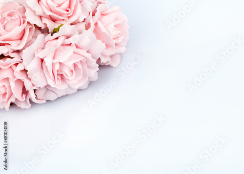 pink roses for greetings
