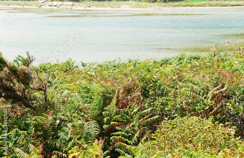 sea bay on Cies Islands in Atlantic, Spain photo