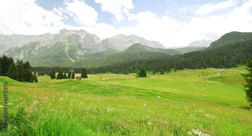 green valley in Dolomites mountains in summer