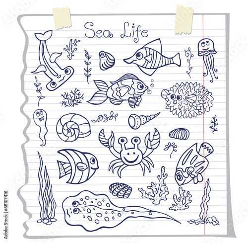 Colorful Doodle set.Funny Sea Life