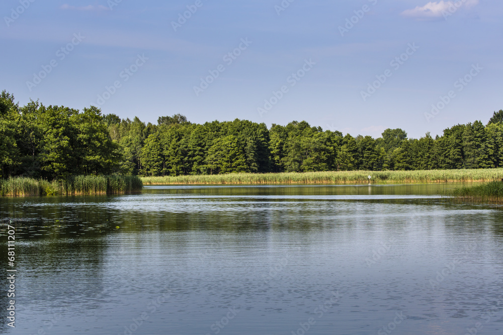 Fototapeta premium Lake Wigry National Park. Poland