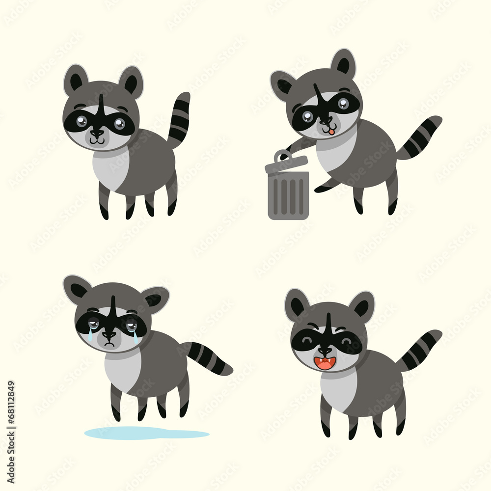 funny raccoon funny raccoon