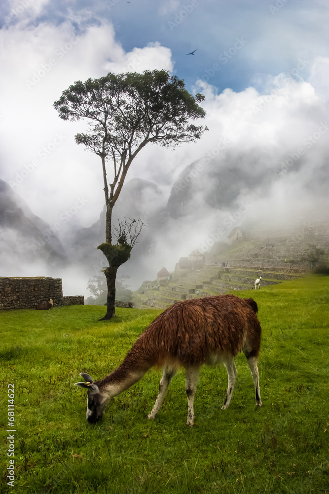 Machu Picchu