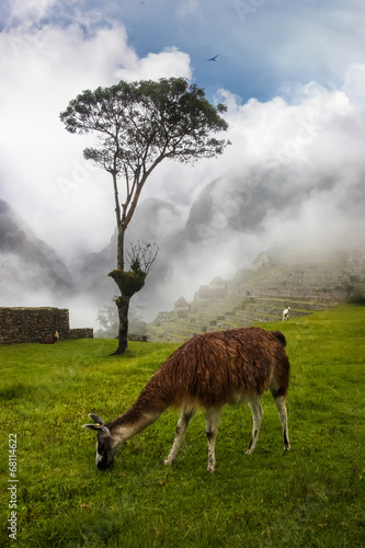 Obraz na płótnie Machu Picchu w salonie