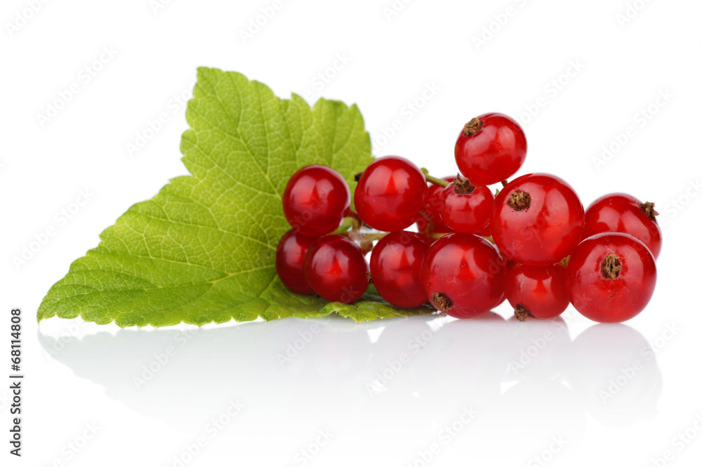 Photo of redcurrant with leaf isolated on white Photo of redcurrant with leaf isolated on white