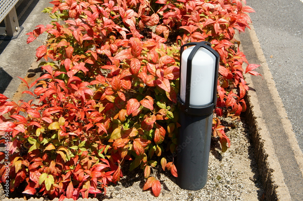 花壇のオタフクナンテンと外灯 Stock Photo Adobe Stock