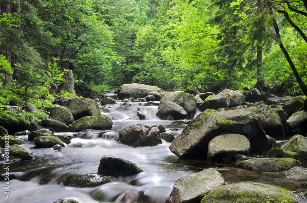 nice stream in deep wood nice stream in deep wood