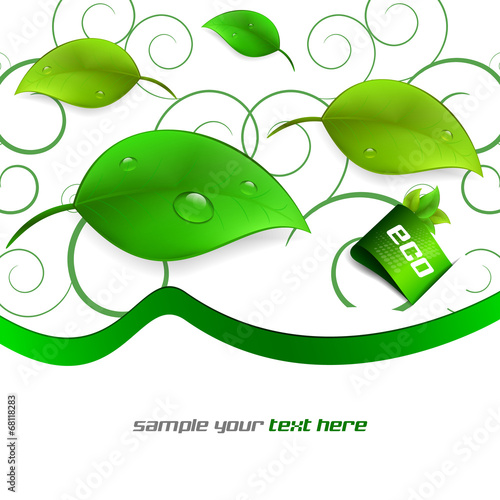 Background with ecological theme, green leaves and water drops