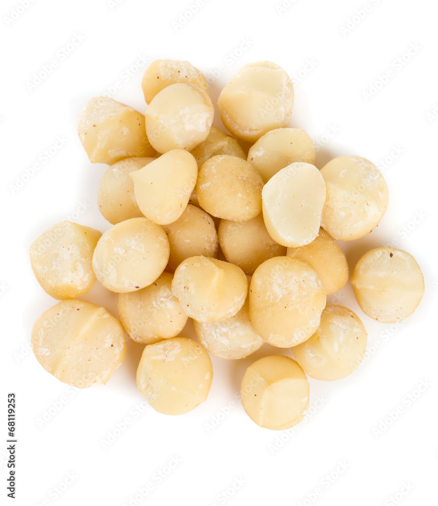macadamia nut macadamia nut