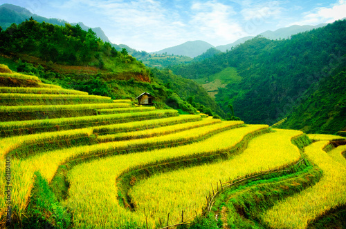 Rice fields on terraces in vietnam © cristaltran