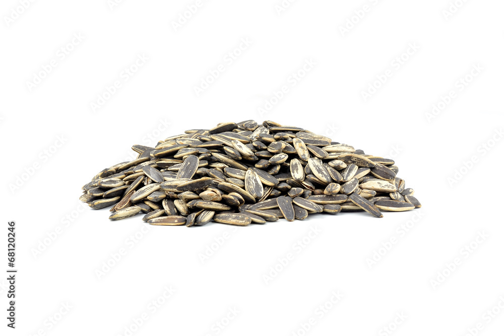a pile of sunflower seeds isolated a pile of sunflower seeds isolated