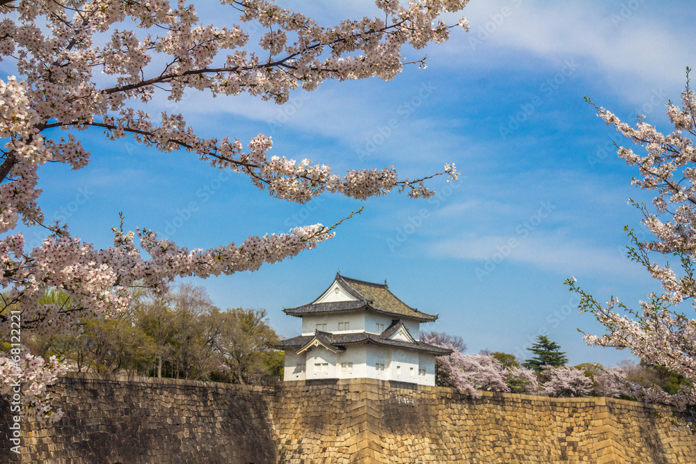 Fototapeta premium Cherry Blossoms in Osaka Castle Japan