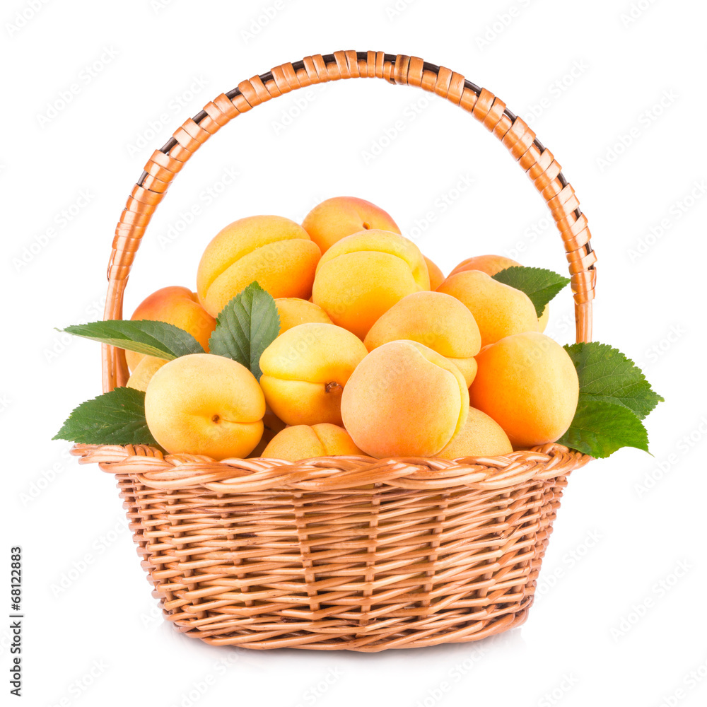 fresh apricots in a basket isolated on white background fresh apricots in a basket isolated on white background