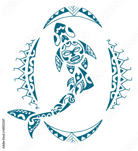 squalo maori photo