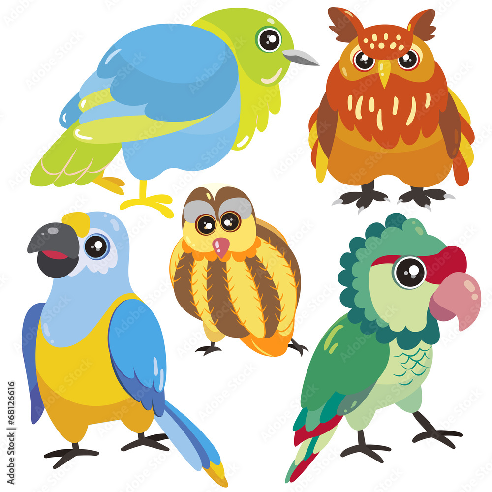 five birds on white background five birds on white background