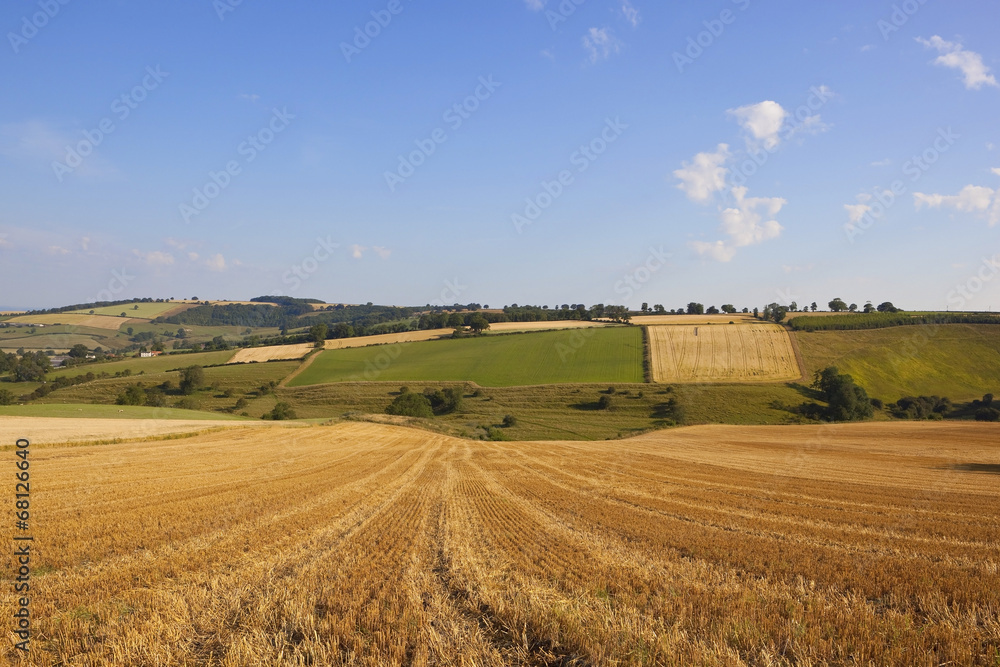 patchwork harvest landscape