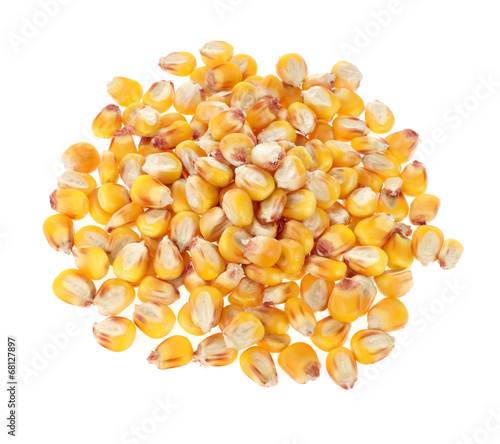 maize grains on white background