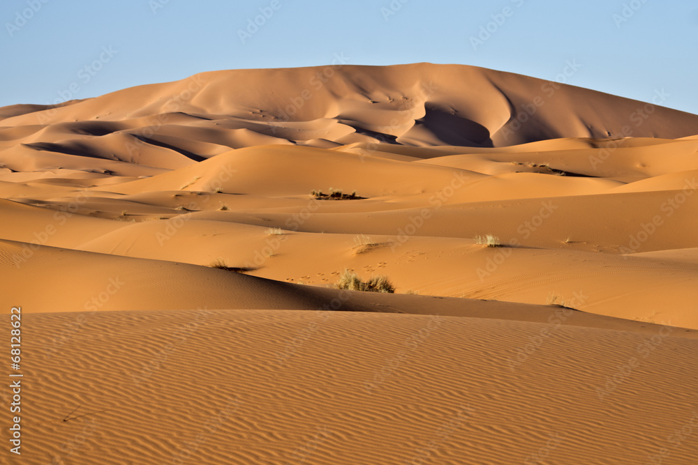 Dune del deserto - obrazy, fototapety, plakaty 