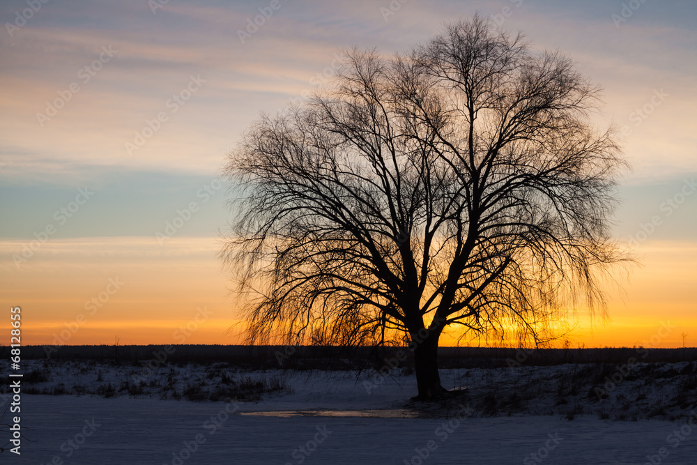 Winter landscape, dawn over the river Winter landscape, dawn over the river
