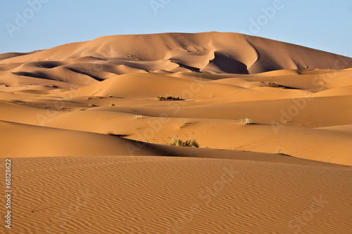 Dune del deserto photo