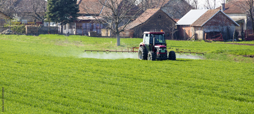 Fototapeta premium Farmer spraying wheat field at spring season