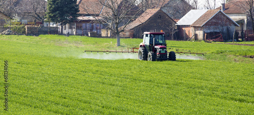 Farmer spraying wheat field at spring season
