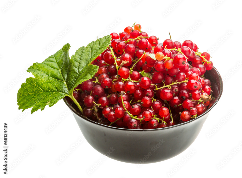 Red currant Red currant