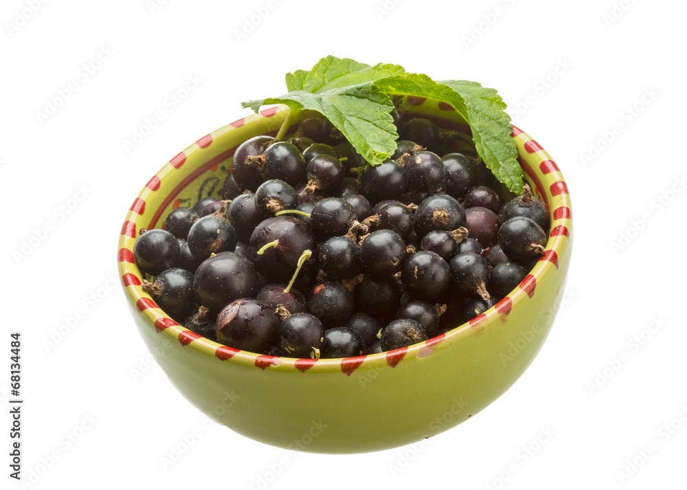 Black currant Black currant