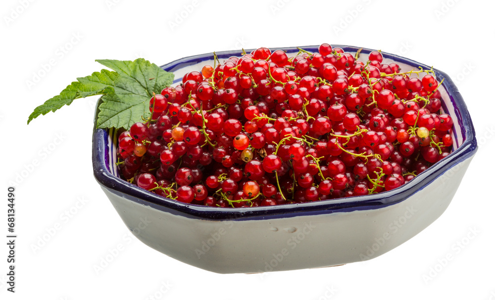Red currant Red currant