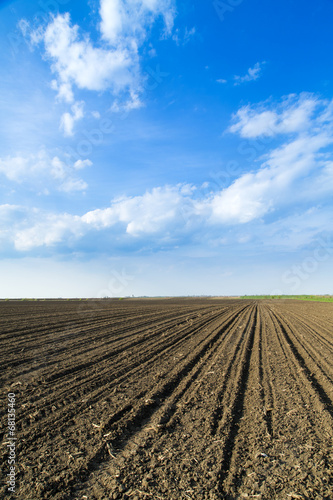 Arable land