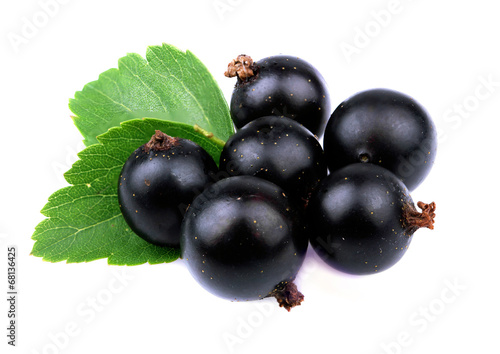 Black currant with leaf