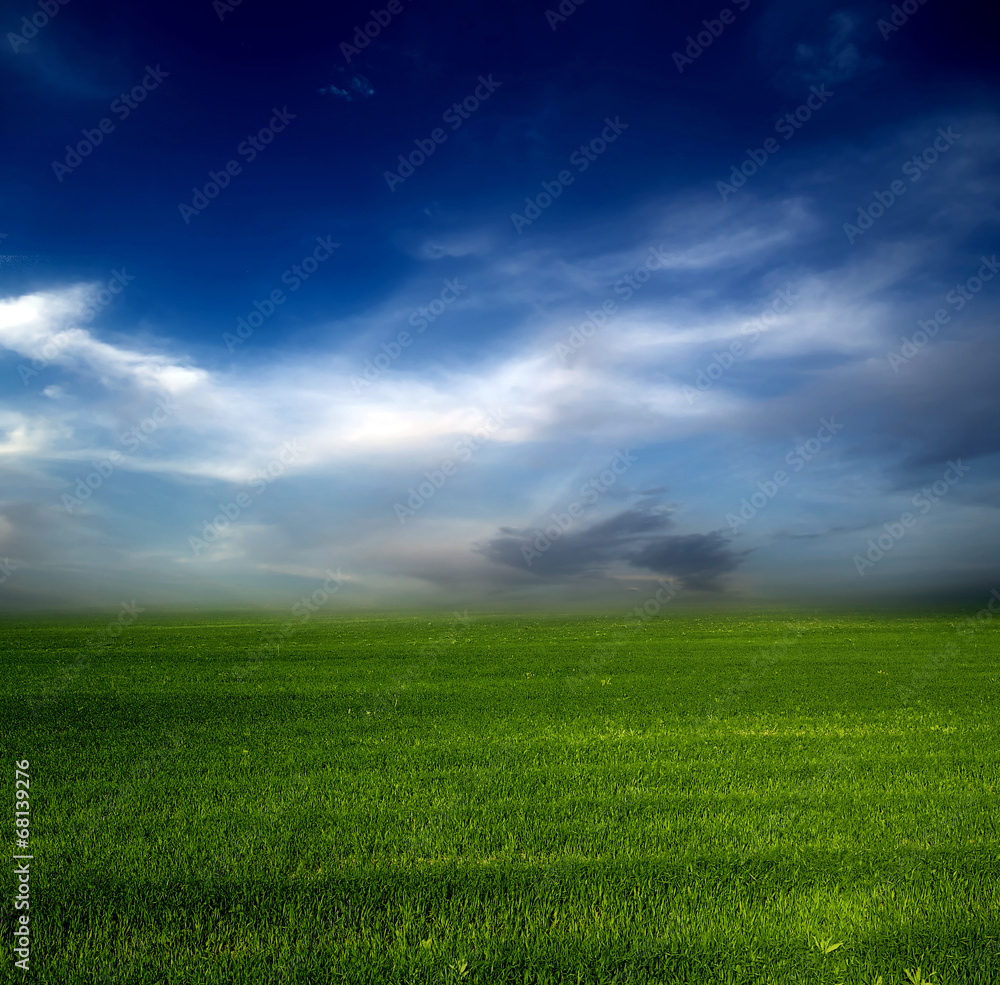 green field blue sky