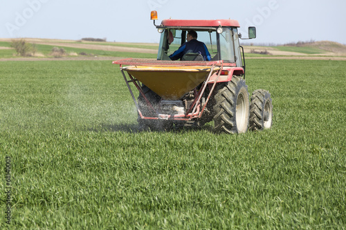 Farmer in tractor fertilizzing wheat field at spring with npk