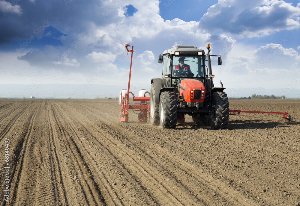 Fototapeta premium Farmer in tractor sowing crops at field