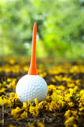 golfball with yellow flower