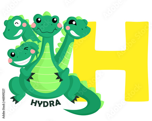 H for hydra