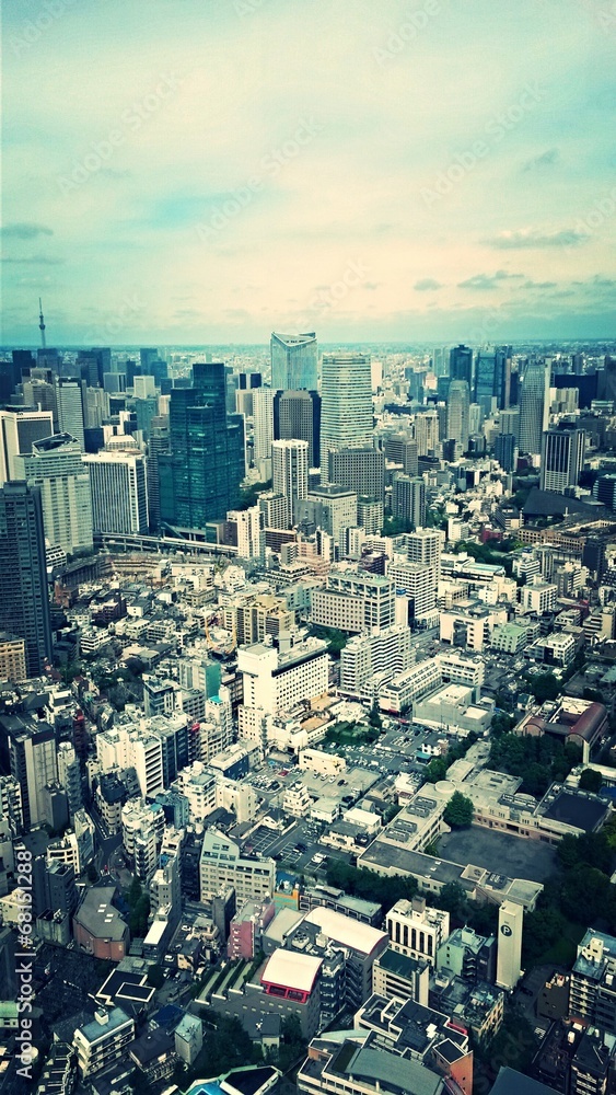 Fototapeta premium Tokyo Skyline