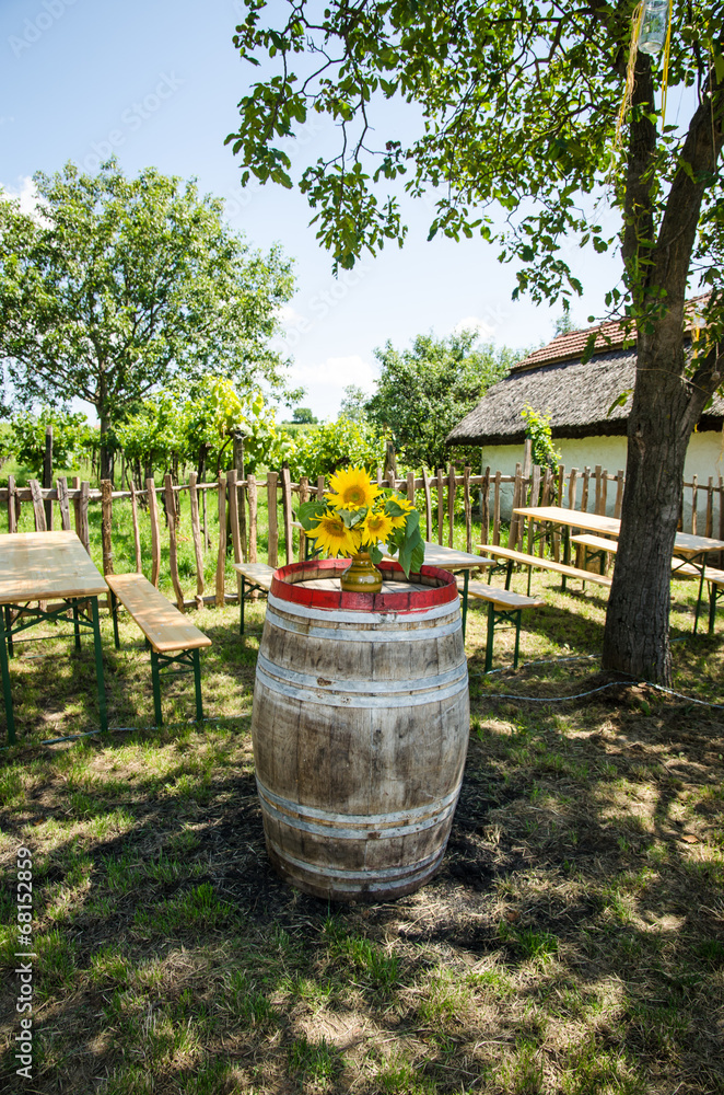 Obraz premium sunflowers in vineyard