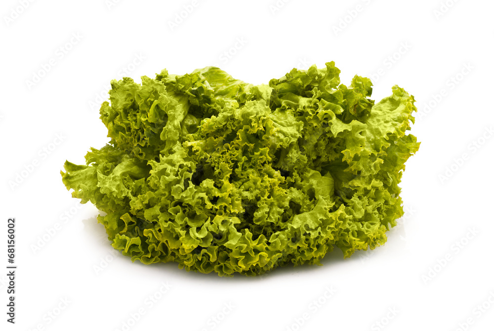 Obraz premium Lettuce isolated on white