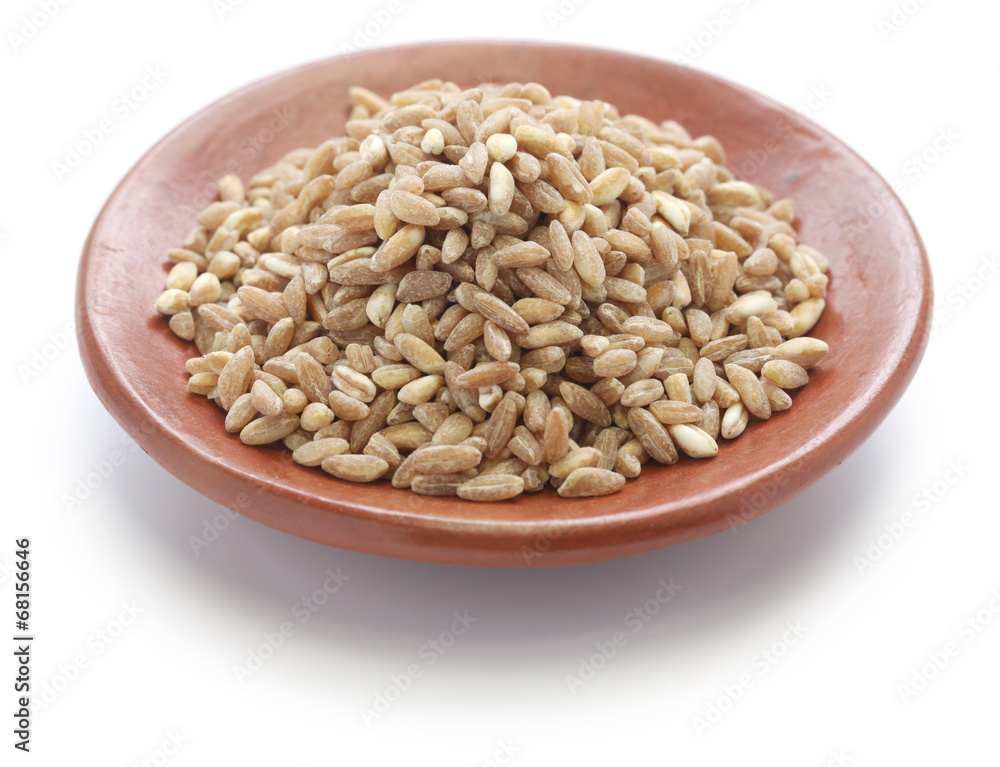 spelt, farro, primitive wheat spelt, farro, primitive wheat