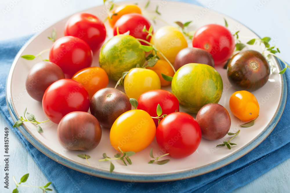 colorful tomatoes in plate on blue background colorful tomatoes in plate on blue background
