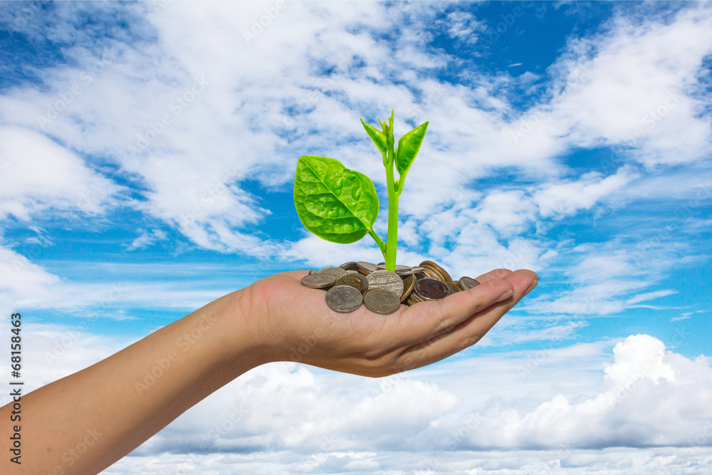 hand holding tree growing on golden coins - saving money hand holding tree growing on golden coins - saving money