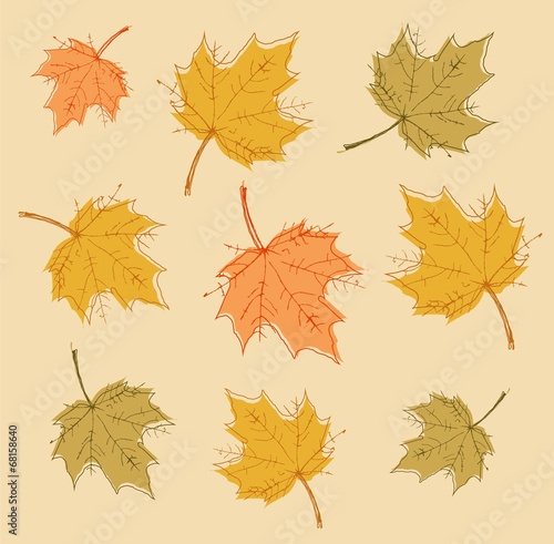 Abstract autumn background with colorful leaves. Vector.