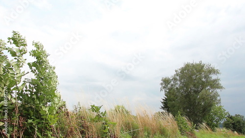 Wallpaper Mural Museumszug mit Diesellok fährt vorbei Torontodigital.ca