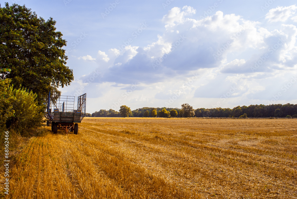 Fototapeta premium Wagon on cultivated land