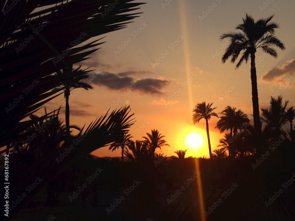 Fototapeta premium Rayos de sol