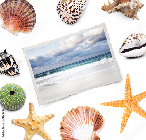 Foto mit  Seesternen, Muscheln und Schnecken